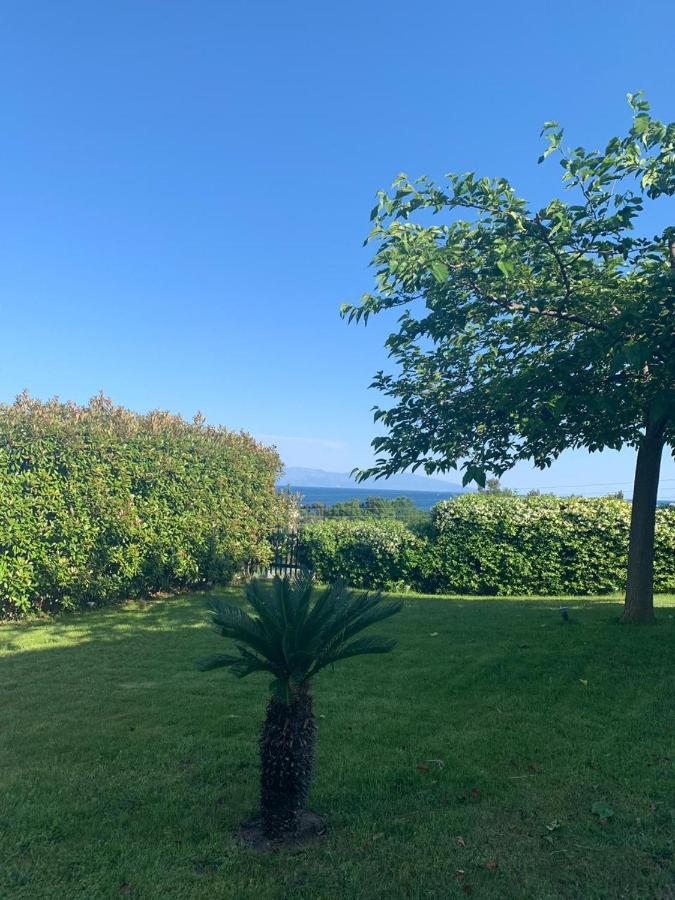Aerides Luxury Villa PalaiónTsiflíkion エクステリア 写真