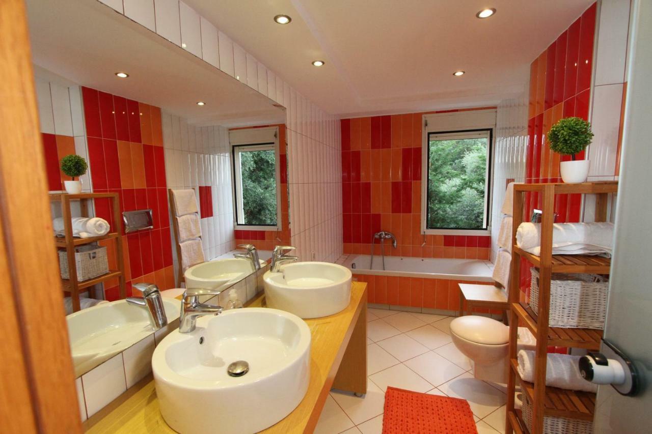 Aerides Luxury Villa PalaiónTsiflíkion エクステリア 写真