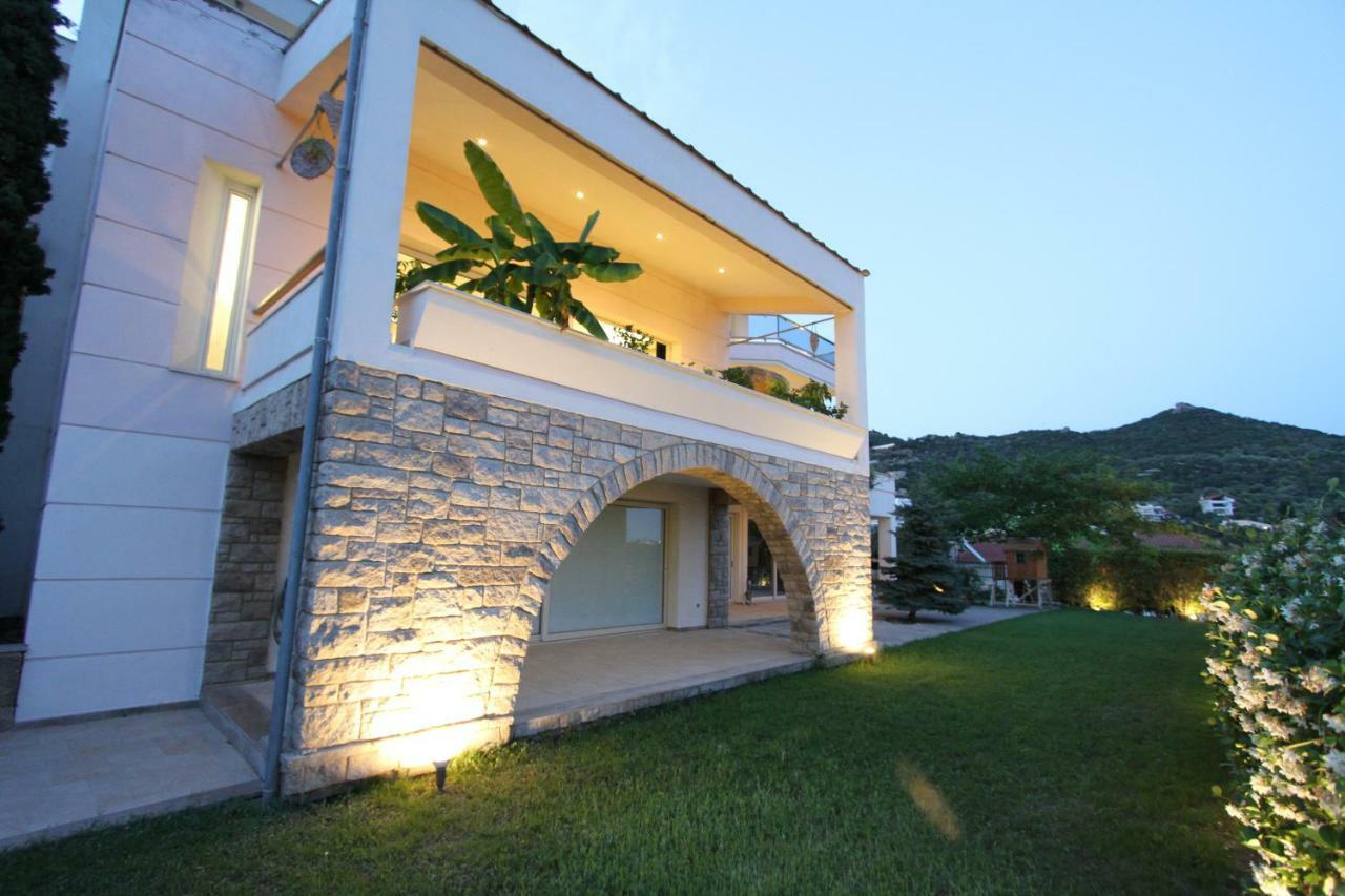 Aerides Luxury Villa PalaiónTsiflíkion エクステリア 写真